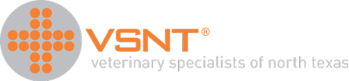 VSNT Logo registered