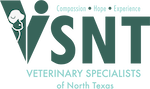 VSNT Logo horiz